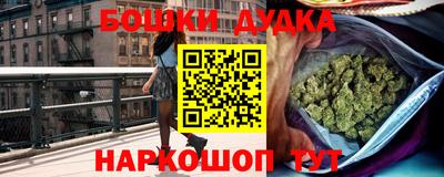 гидра Аргун