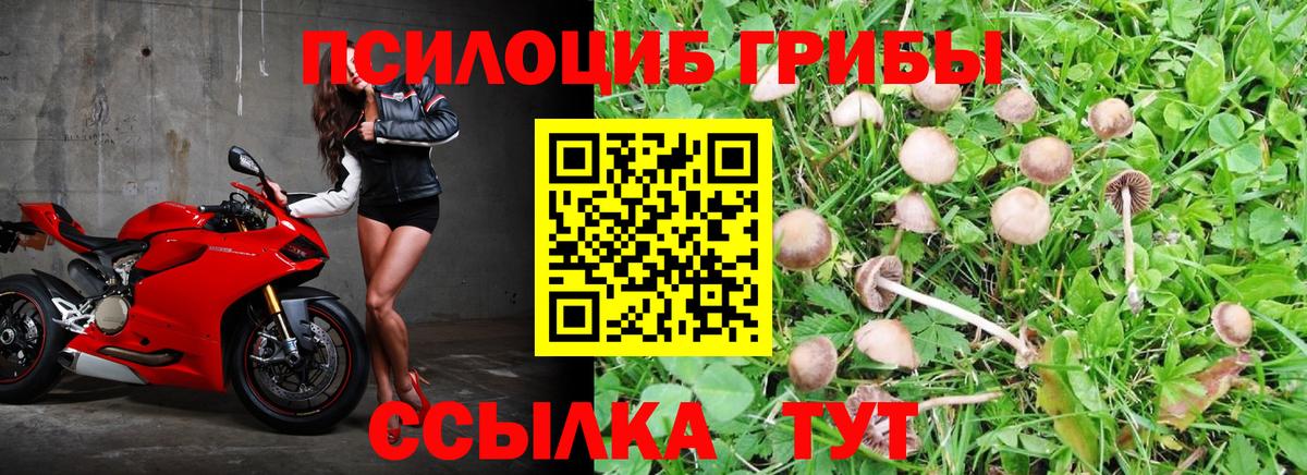 Галлюциногенные грибы Magic Shrooms Вичуга