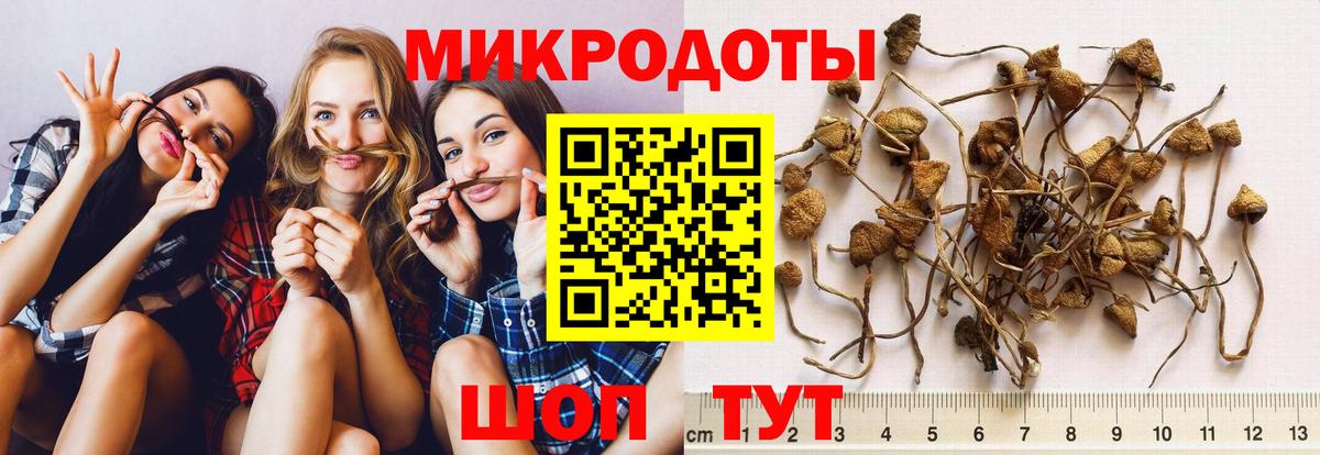 Галлюциногенные грибы MAGIC MUSHROOMS  Галлюциногенные грибы ЛСД  Вичуга  Вход с VPN 