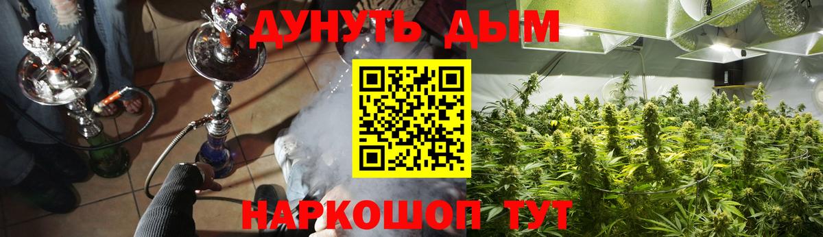 Вичуга  Марихуана планчик  Конопля Bruce Banner  Вход с VPN 